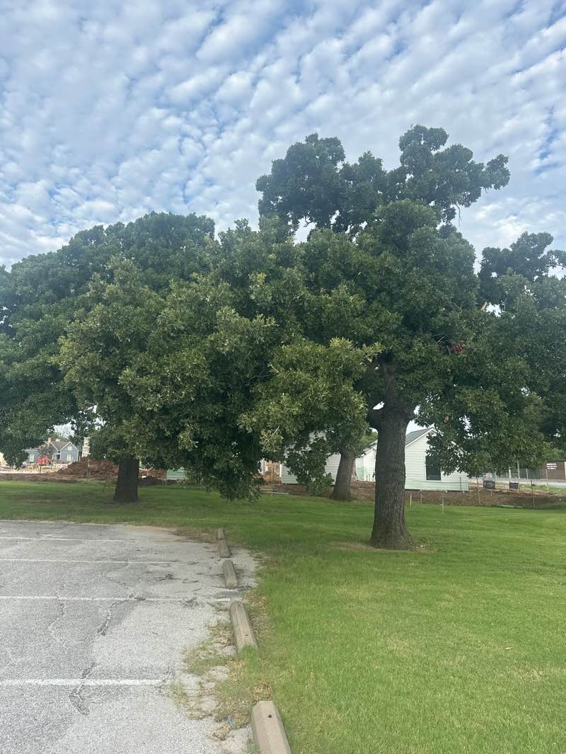 walking near me in Geyer Field in autumn