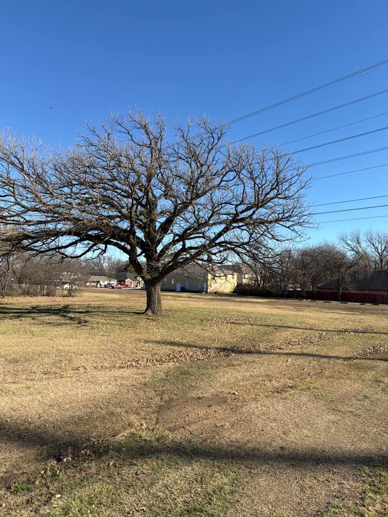 walking near me in Holland Street Park in winter