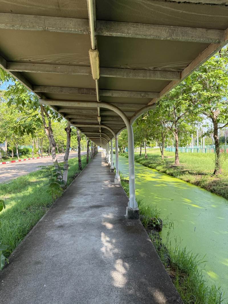 walking near me in สวนดอกไม้ in summer