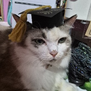 Priyanka Jeyapala (Yijc) icon