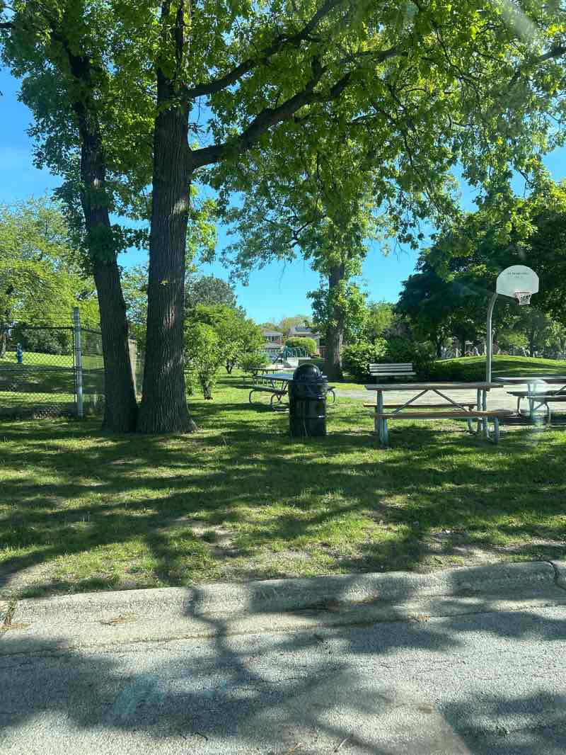 walking near me in Springfield Park in spring