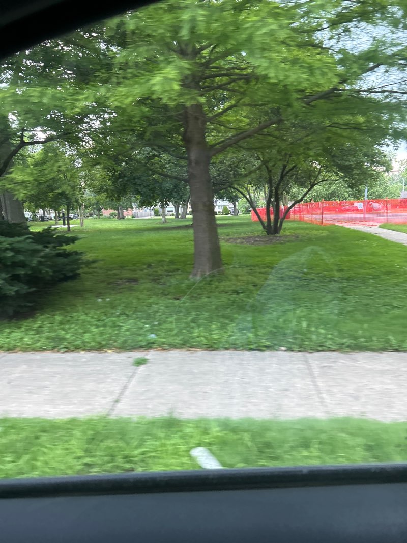 walking near me in Gleiss Park in summer