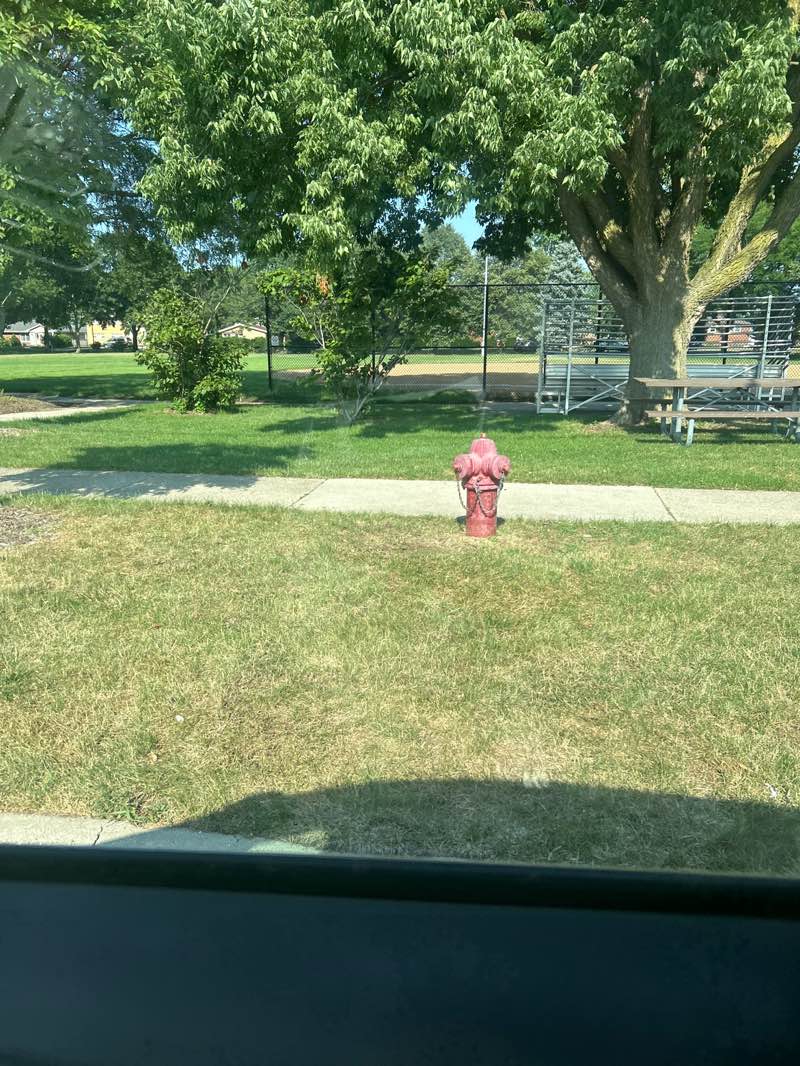 walking near me in Terminal Park in summer