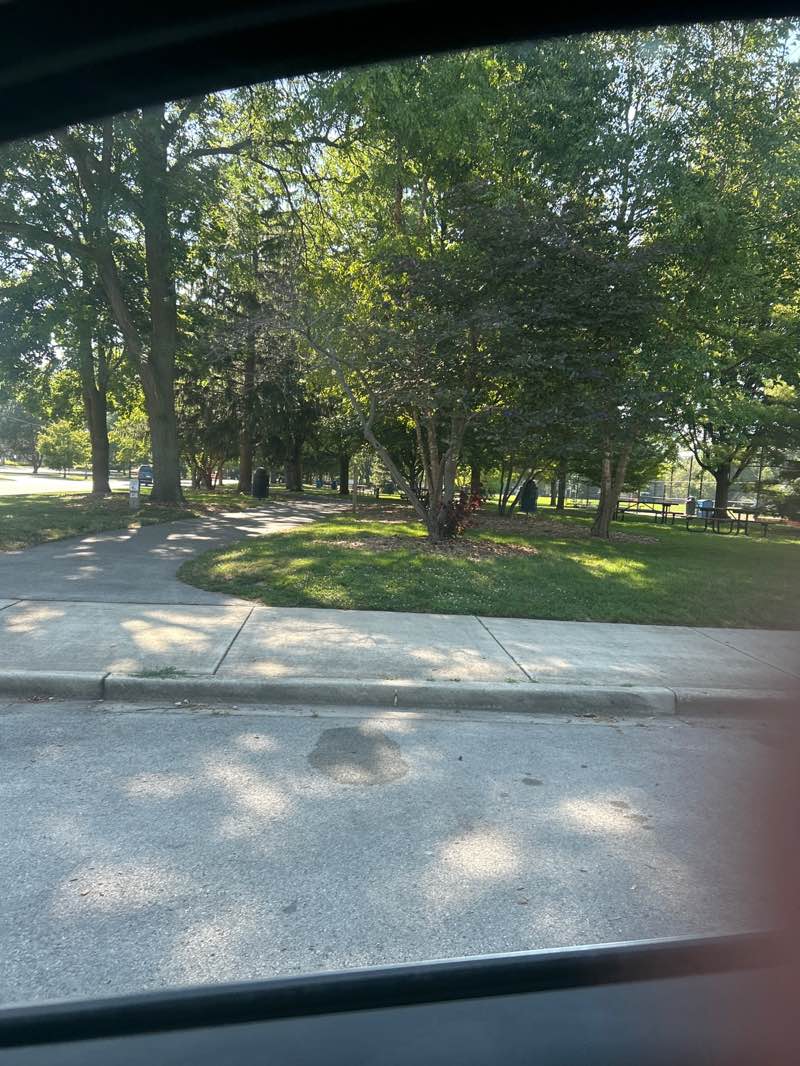 walking near me in Central Park in autumn