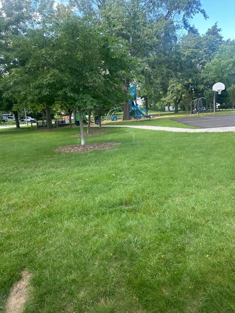 walking near me in Shabonee Park in autumn