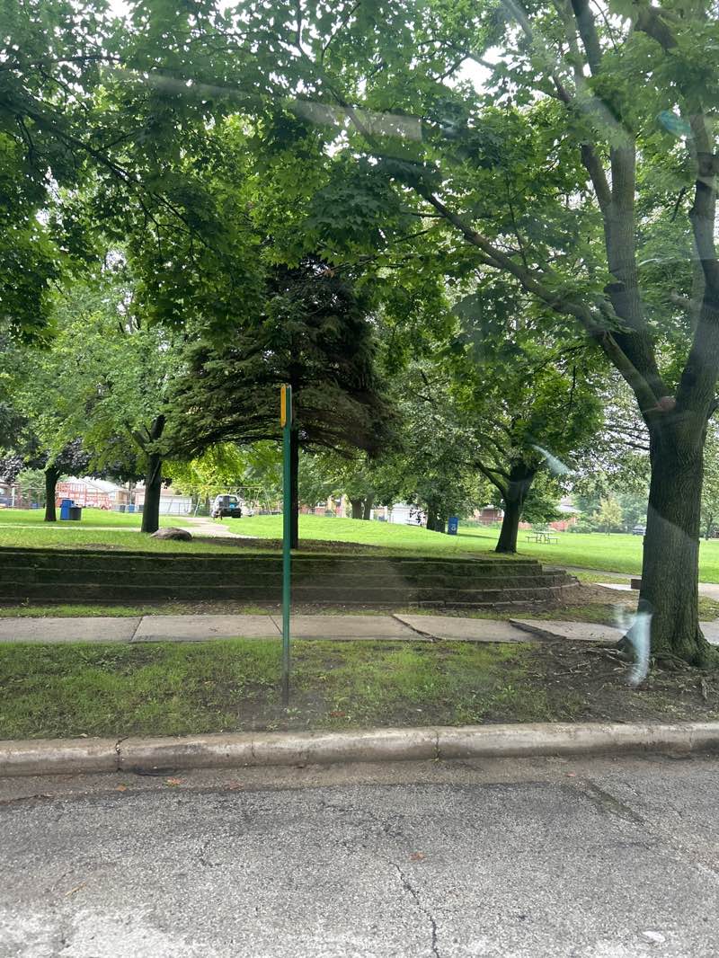 walking near me in Leider Park in autumn
