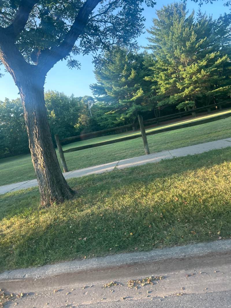 walking near me in Leah Lomar Park in autumn