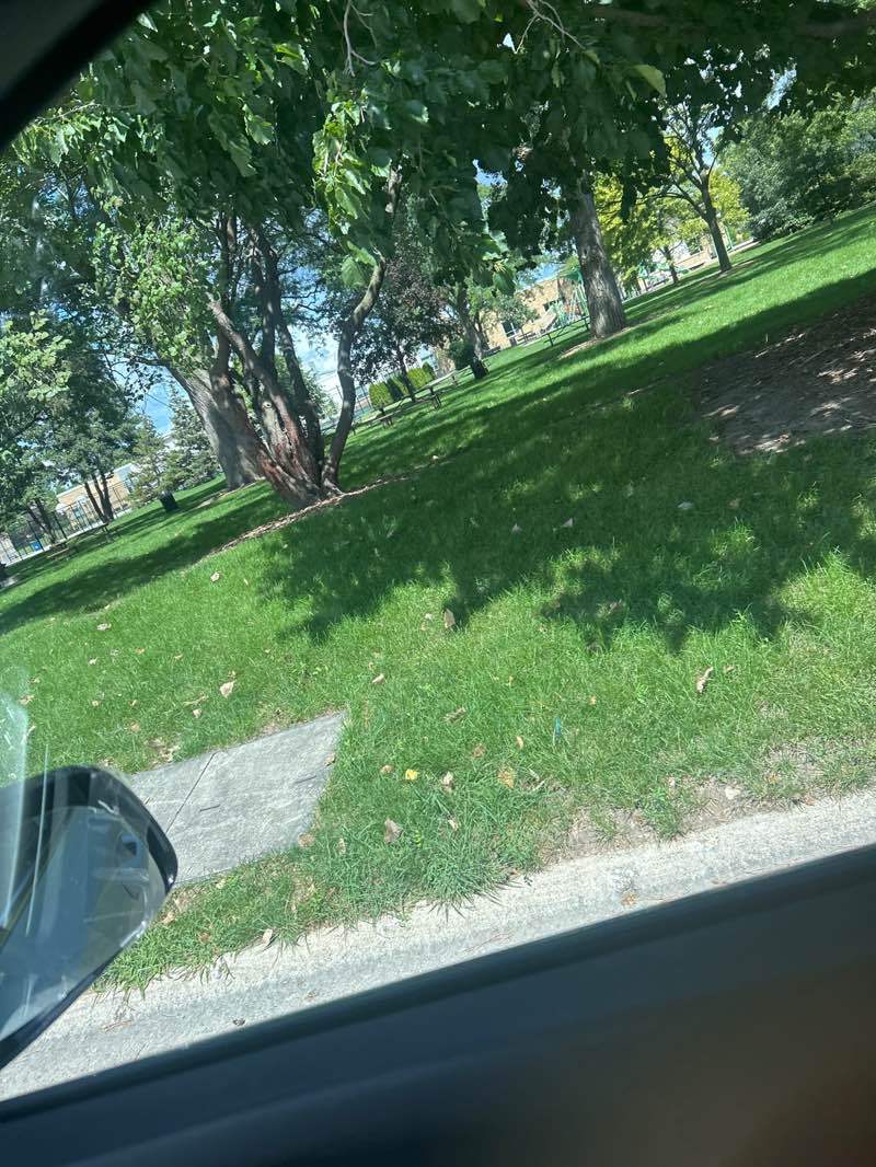 walking near me in Norman Schack Park in autumn