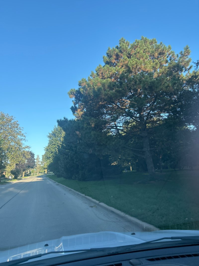 walking near me in Allen Weissburg Park in autumn