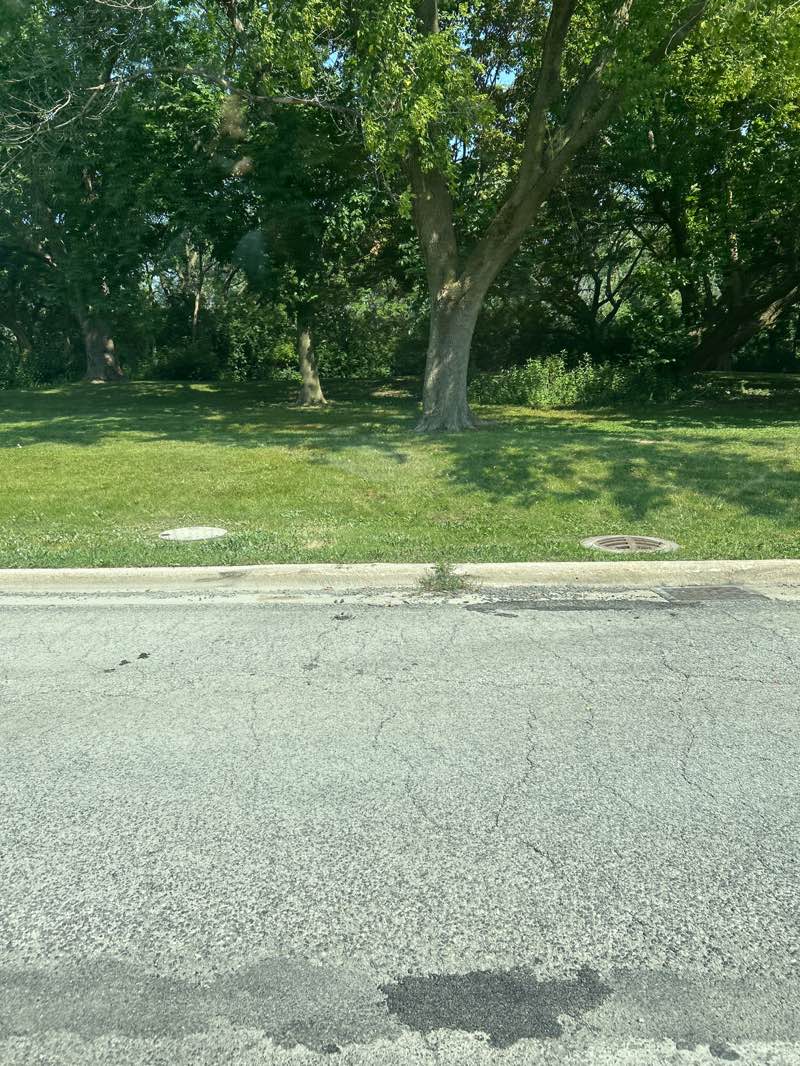 walking near me in Gorell Park in autumn