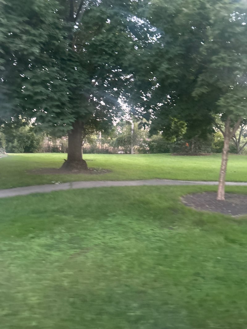 walking near me in Mulford Park in autumn