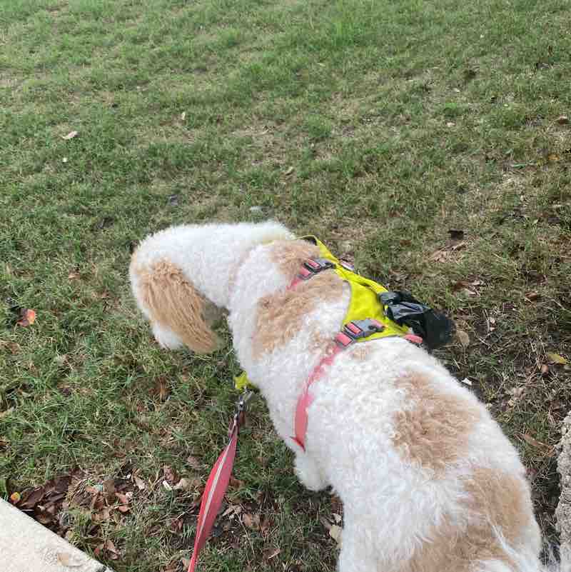 anil chitneni post 1