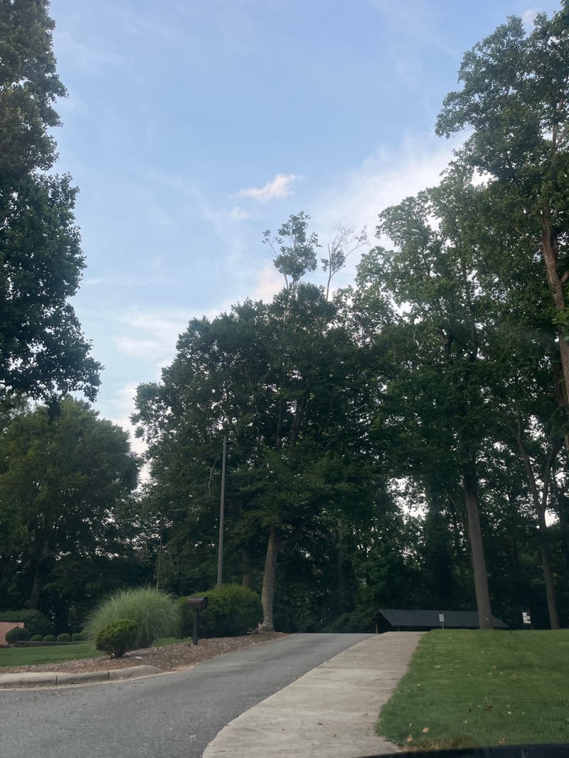 walking near me in Price Park in summer