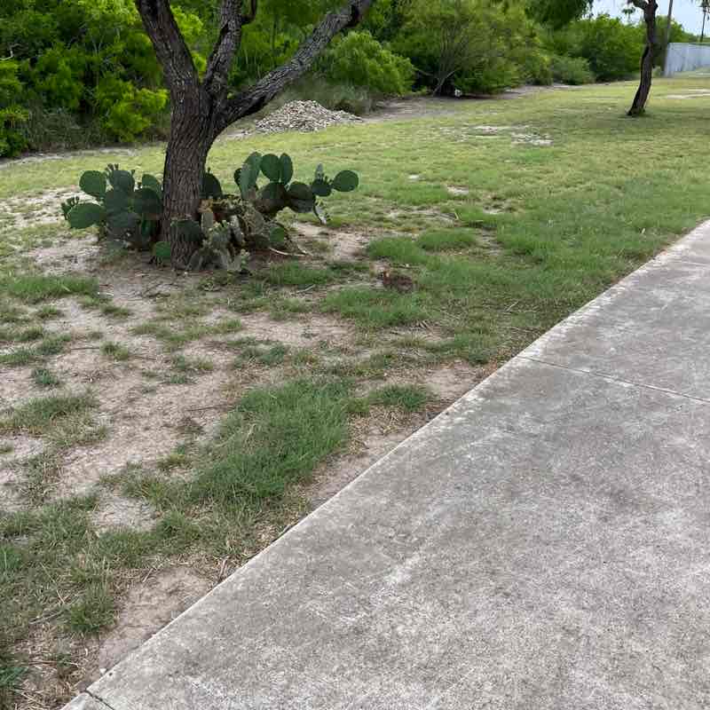 Jessica Carlos post 2