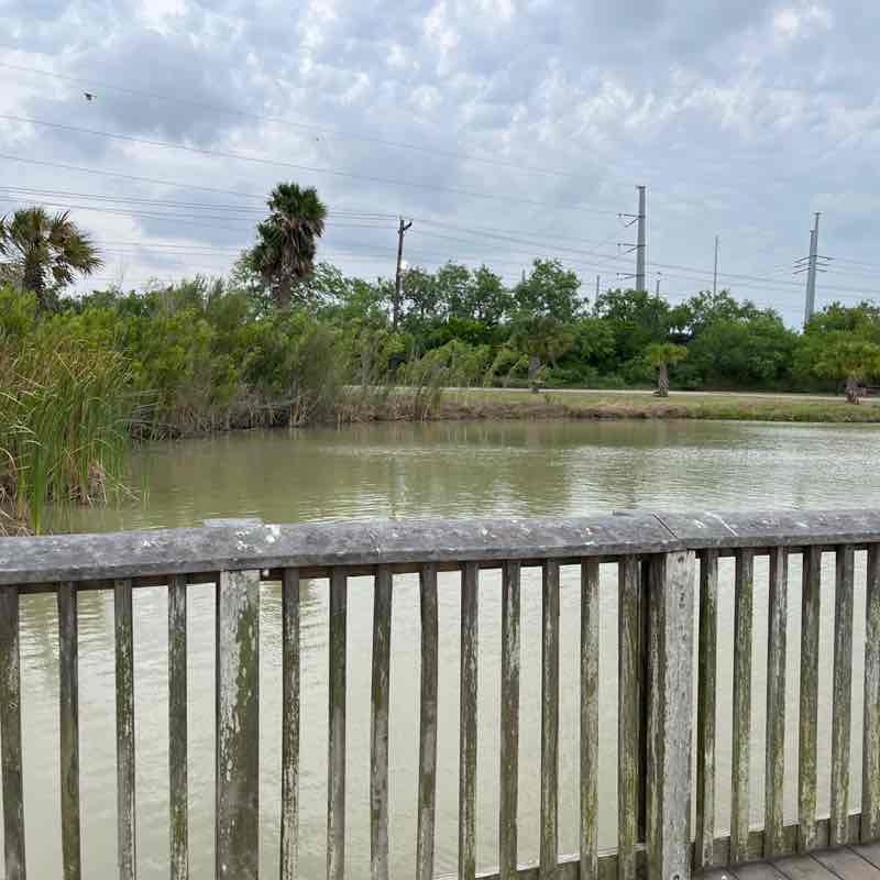 Jessica Carlos post 2