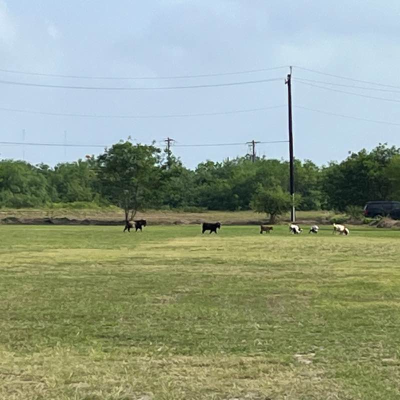 Jessica Carlos post 1