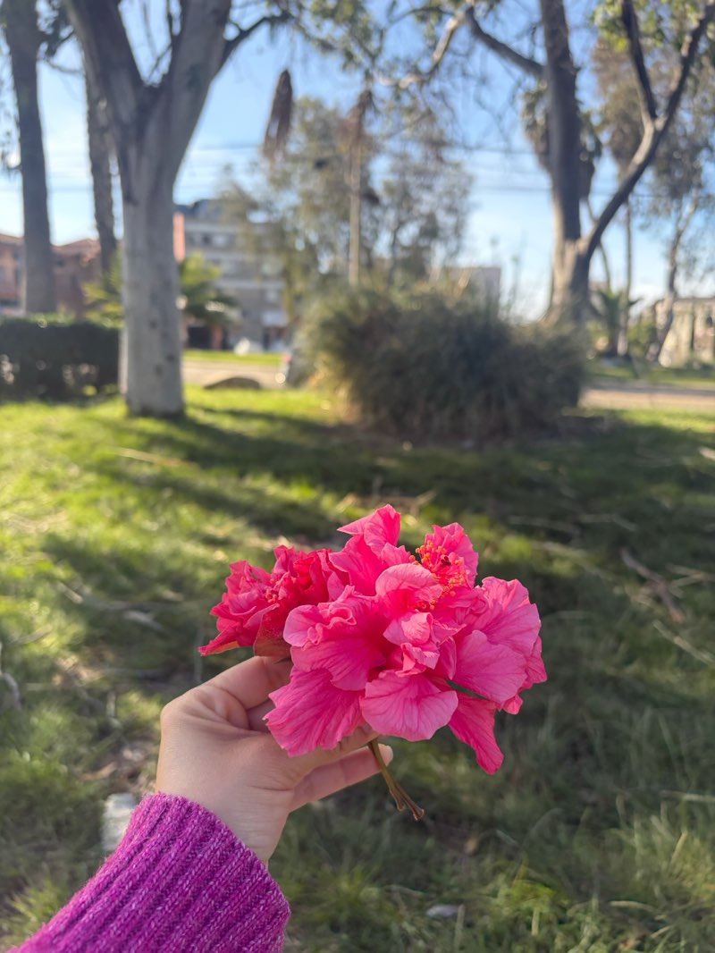 walking near me in Parque Azteca in winter
