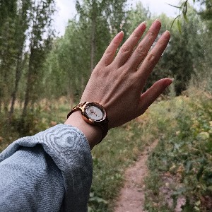 Elham Esmaeilzadeh icon