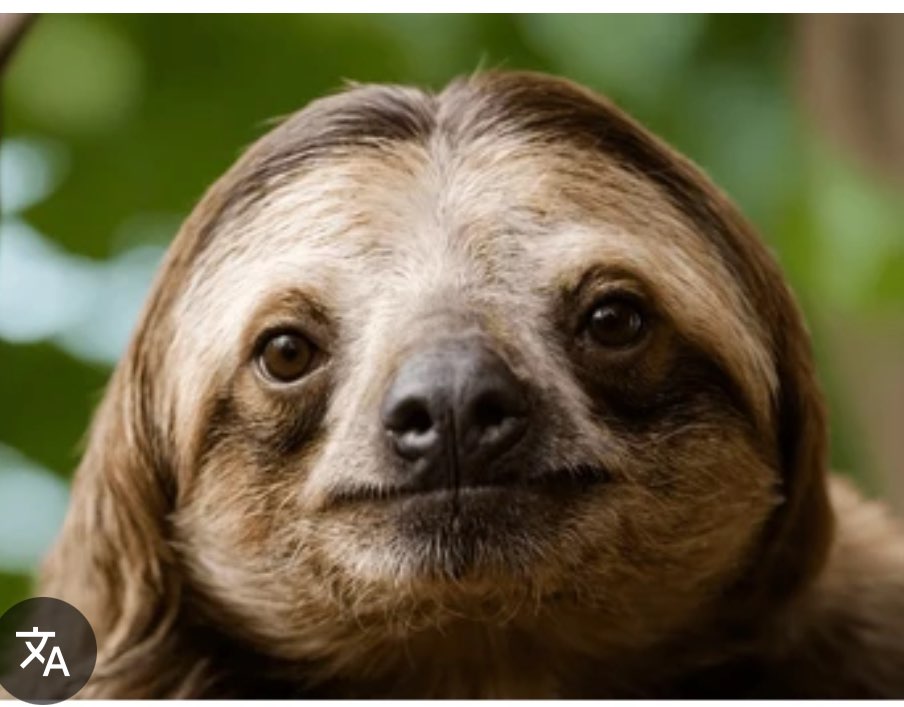 放射科 吳察紜 342131 profile