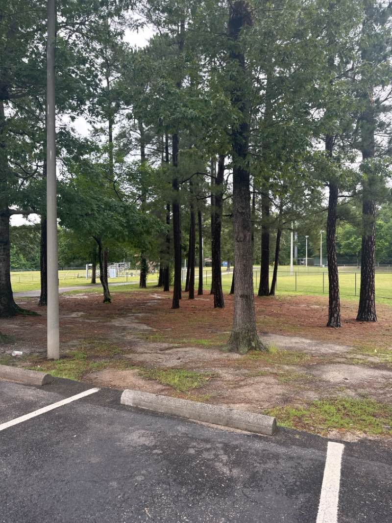 walking near me in Goyne Park in spring