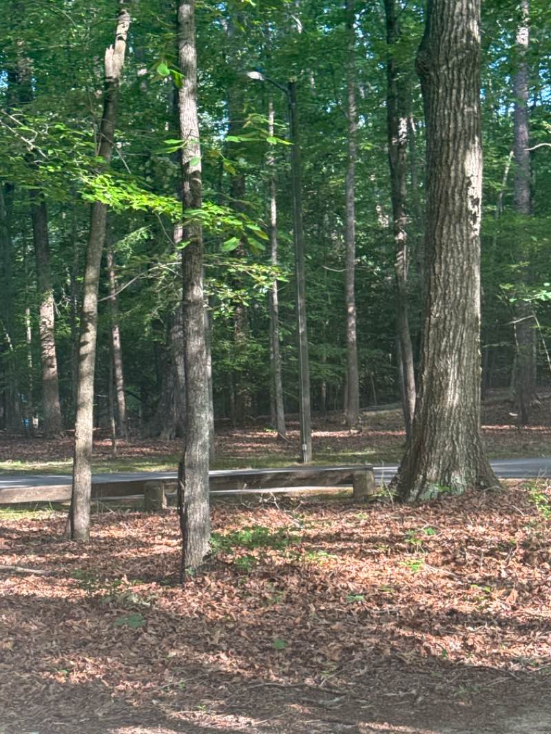 walking near me in Pocahontas State Park in summer