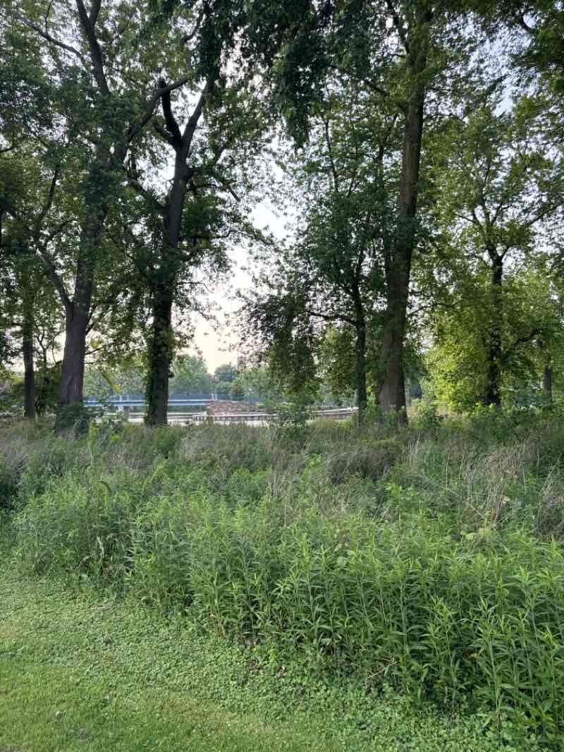 walking near me in Central Park in summer