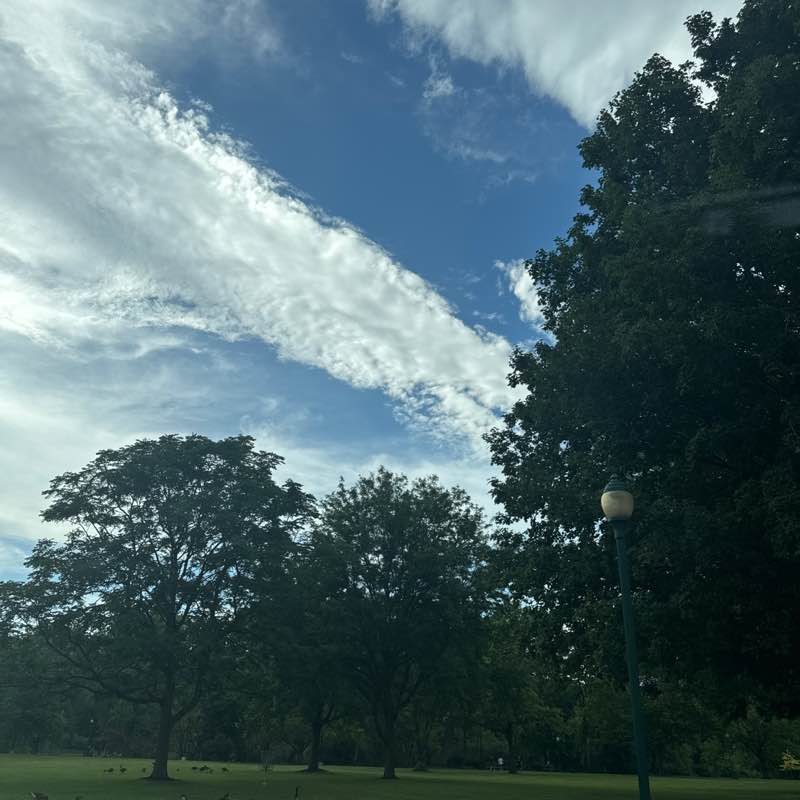 Tim Braunbeck post 1