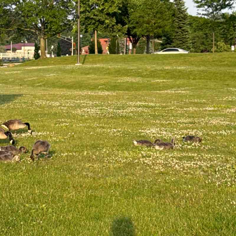 Tim Braunbeck post 2