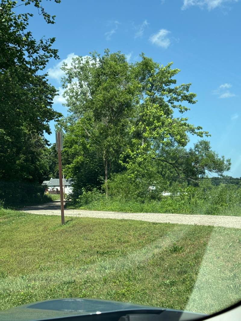 walking near me in Gunn Park in summer