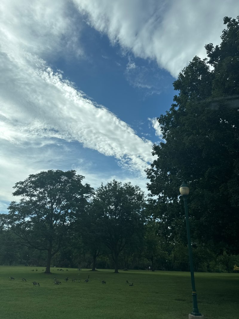 walking near me in Lundquist Bicentennial Park in summer