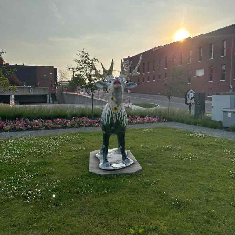 Tim Braunbeck post 3