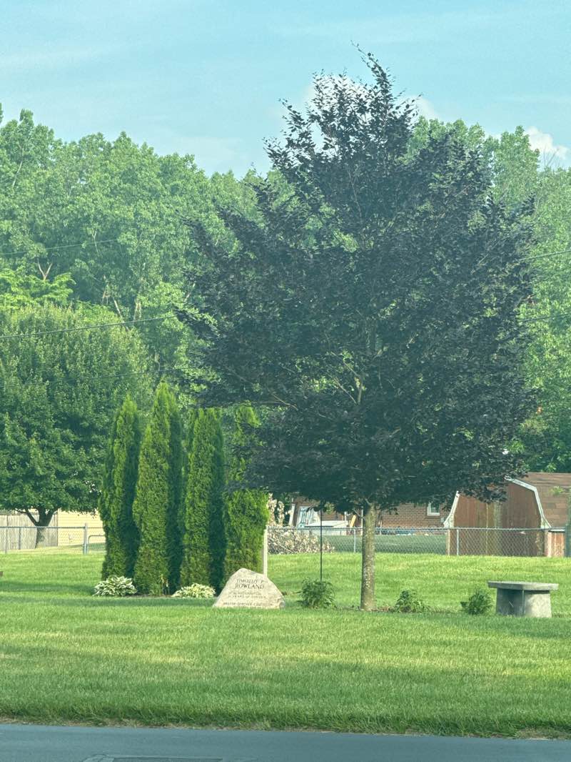 walking near me in ROCC Park in summer