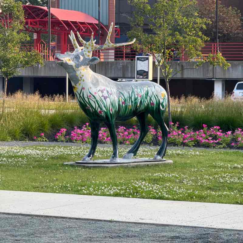 Tim Braunbeck post 1