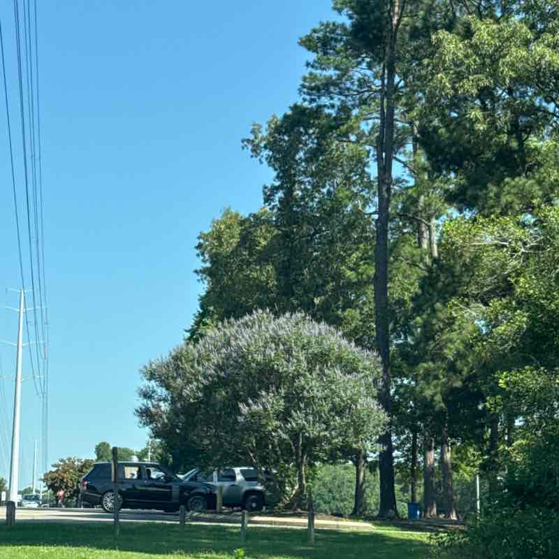 Tim Braunbeck post 1