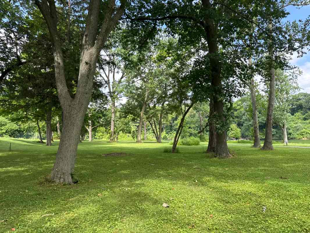walking near me in Pinhook Park in summer