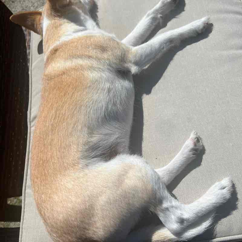 WSP tatiana.ware post image