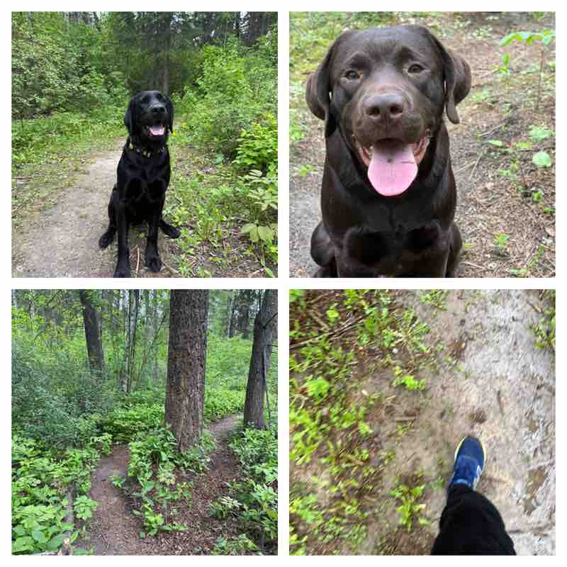 Dustin Peacock post 1