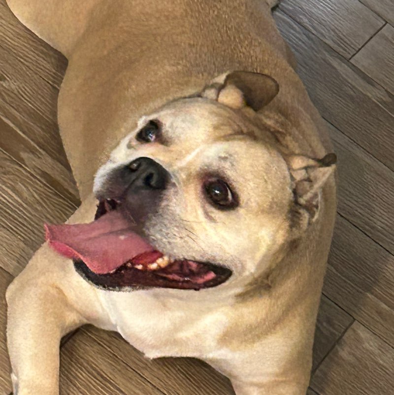 Hefty Heather profile