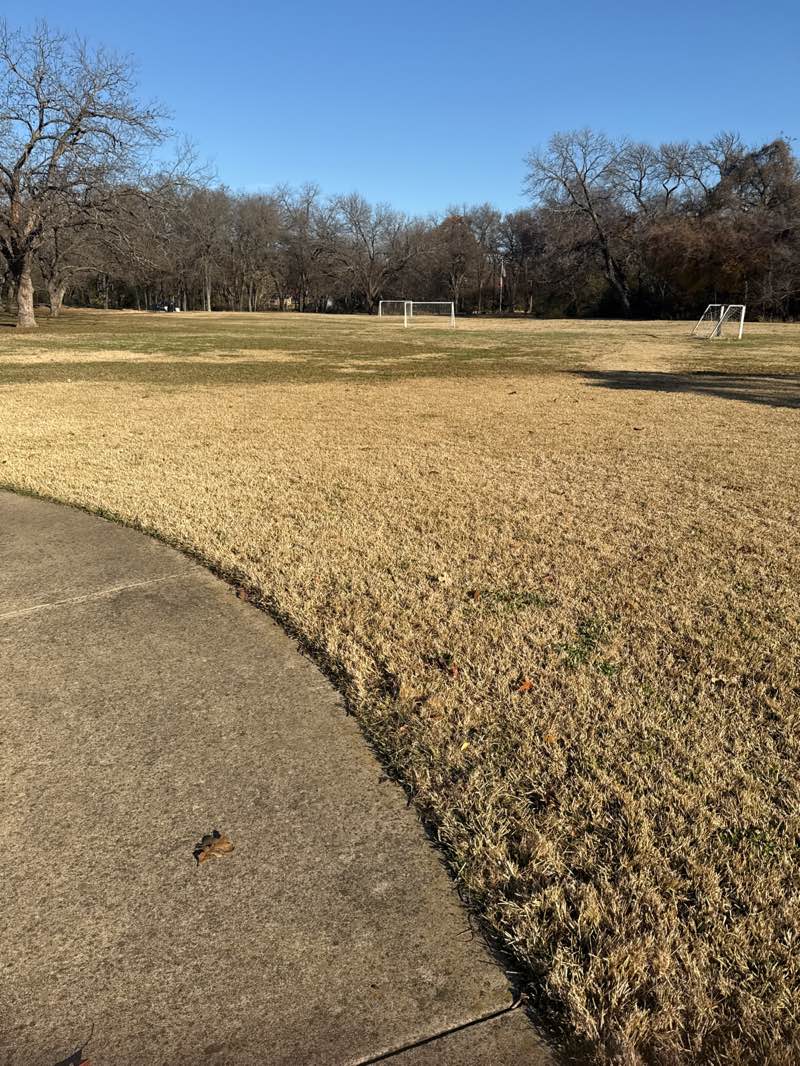 walking near me in Sparger Park in winter