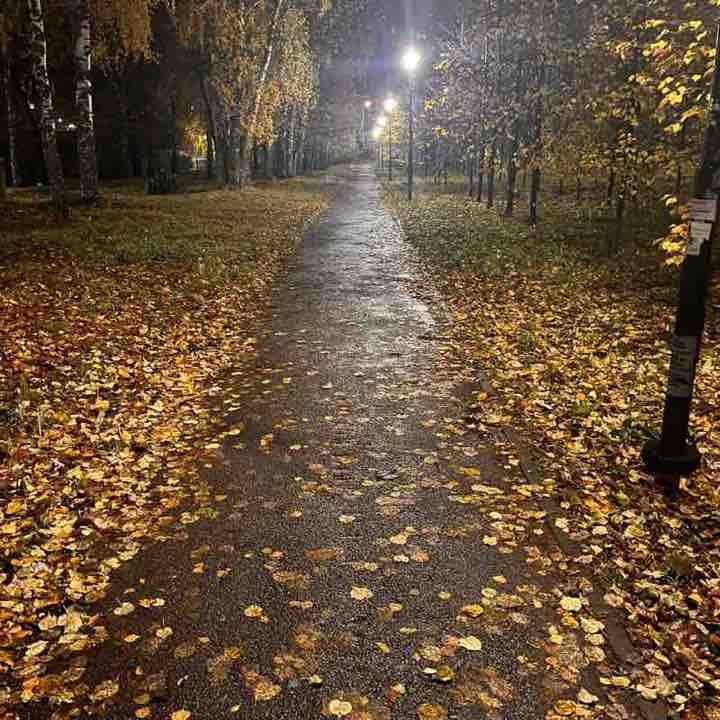 Yuriy 🇷🇺 post 3