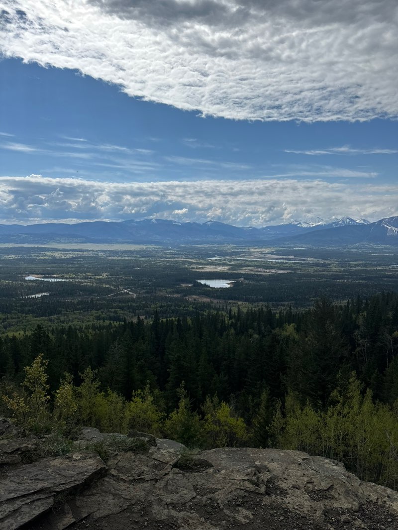 walking near me in Bow Valley Wildland Provincial Park in spring