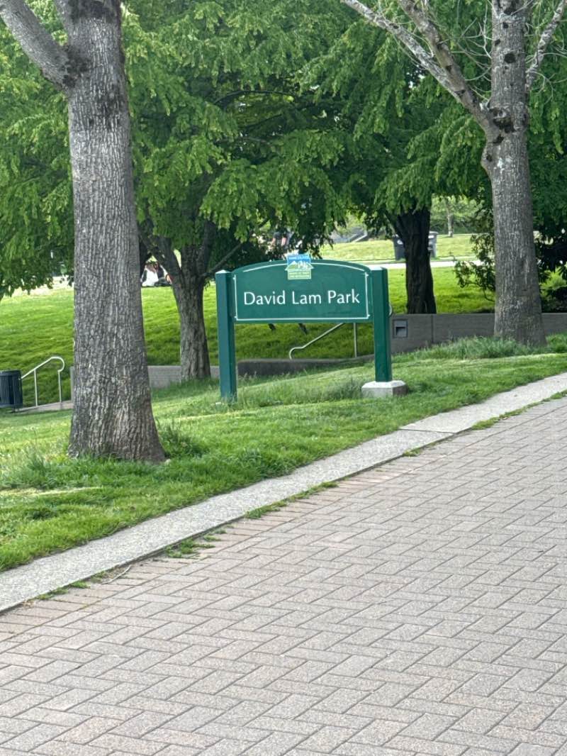 walking near me in David Lam Park in spring