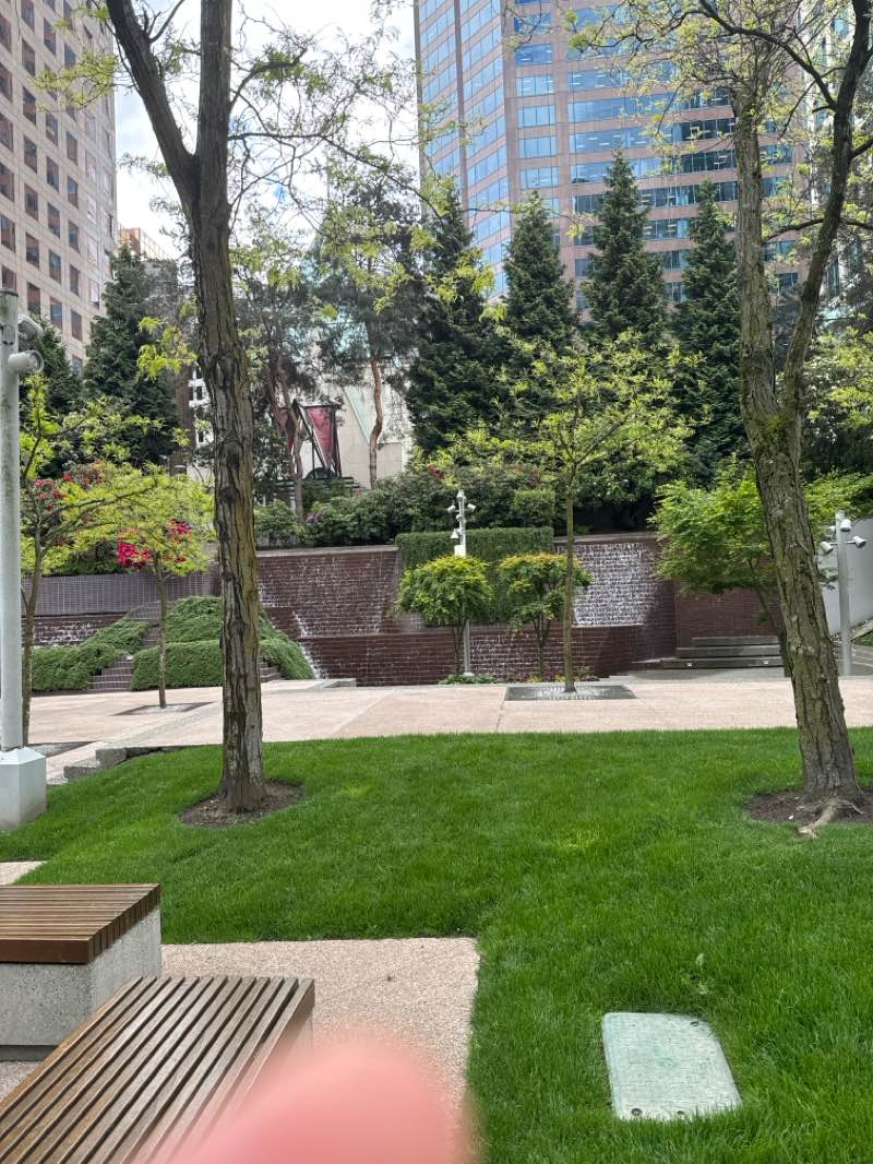 walking near me in Robson Square in spring