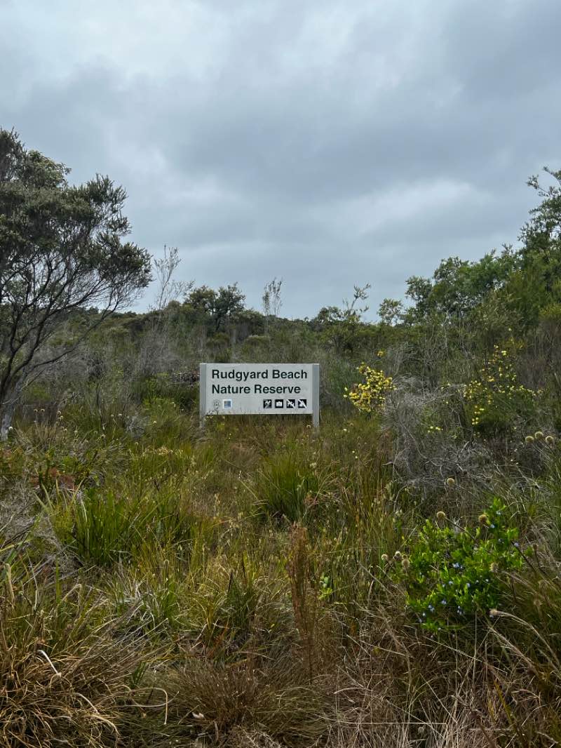 walking near me in Rudyard Beach Nature Reserve in spring