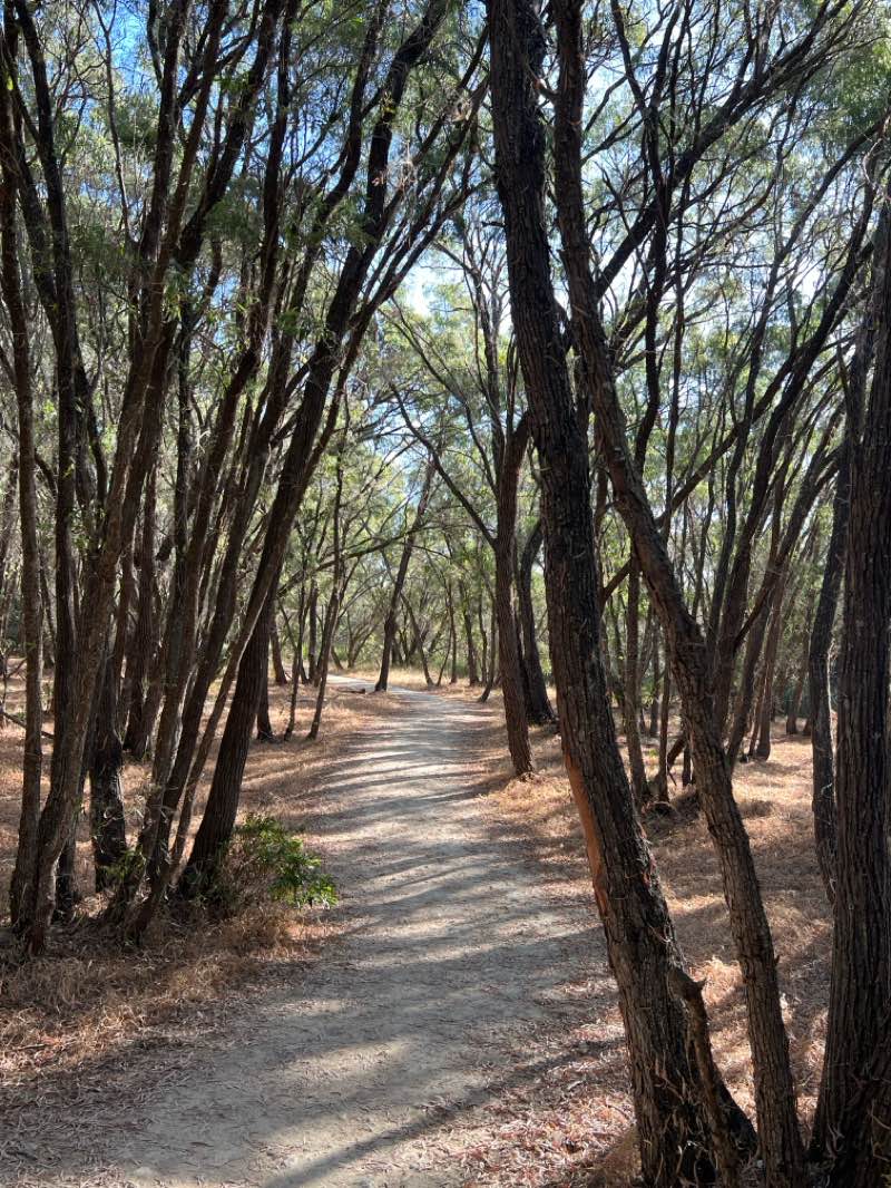 walking near me in Yalgorup National Park in summer