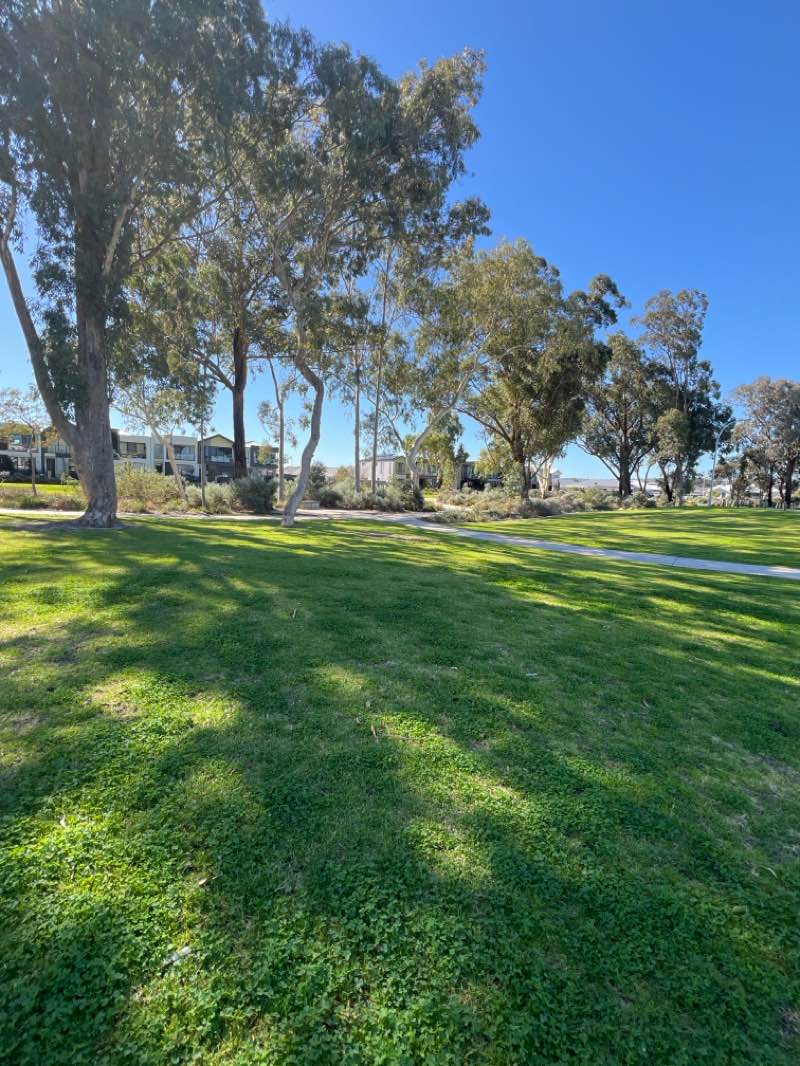 walking near me in Denton Park in spring