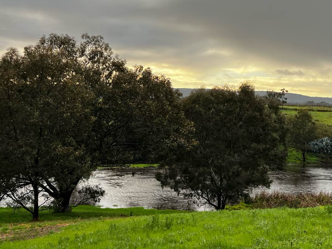 walking near me in Hollingsworth Park in spring