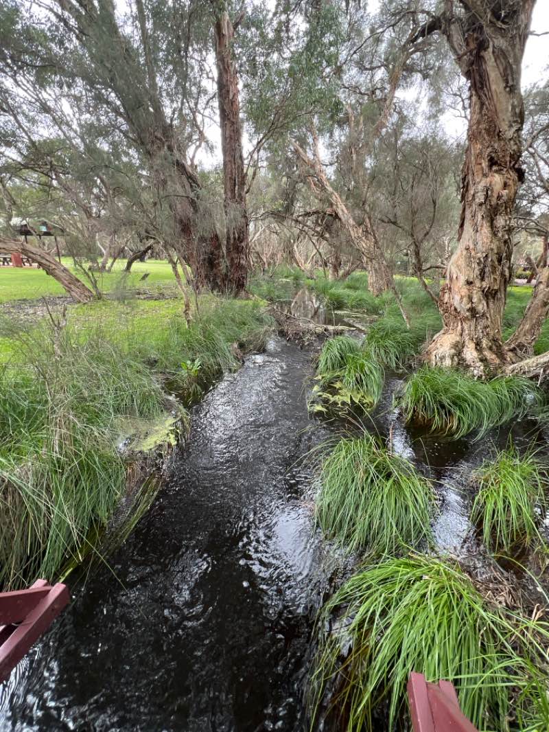 walking near me in Whiteman Park in spring