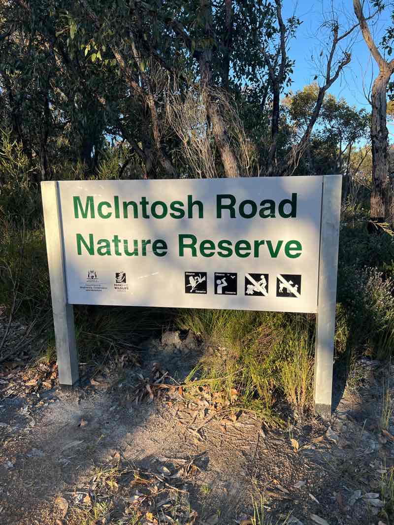 walking near me in McIntosh Road Nature Reserve in spring