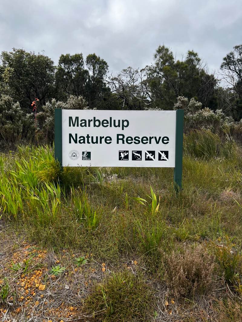walking near me in Marbelup Nature Reserve in spring
